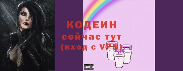 дмт Костерёво