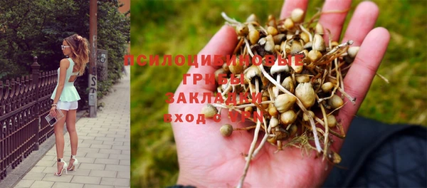 гашиш Кодинск